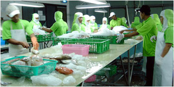 Bagindo factory daily activities